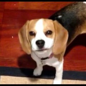 Meet your Posher, Tristan